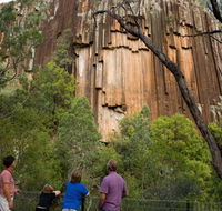 Sawn Rocks walking track - Accommodation Newcastle