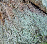 The Rock Nature Reserve - Kengal Aboriginal Place - Accommodation Newcastle