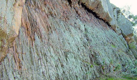 The Rock Nature Reserve - Kengal Aboriginal Place - Accommodation Newcastle 0