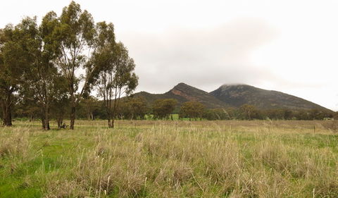 The Rock Nature Reserve - Kengal Aboriginal Place - Accommodation Newcastle 2