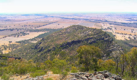 The Rock Nature Reserve - Kengal Aboriginal Place - Accommodation Newcastle 3