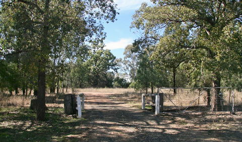 Terry Hie Hie Aboriginal Area - Accommodation Newcastle 2
