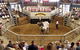 Gracemere Exhibition Complex - thumb 1