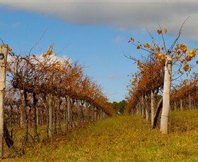 Charles Sturt University Winery Wagga Wagga - Accommodation Newcastle 3