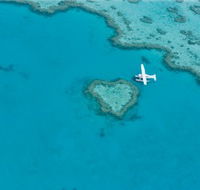 Great Barrier Reef - Whitsundays - Accommodation Newcastle