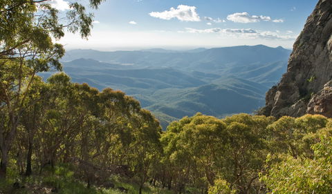 Kaputar Scenic Drive - Accommodation Newcastle 1