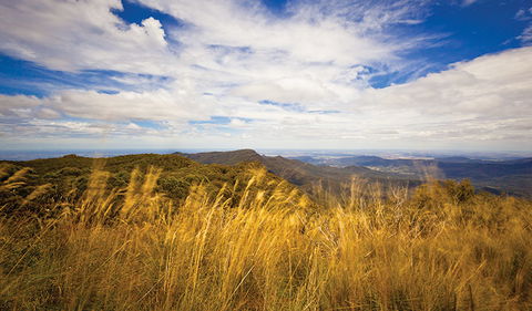 Mount Kaputar Summit Walk - Accommodation Newcastle 1