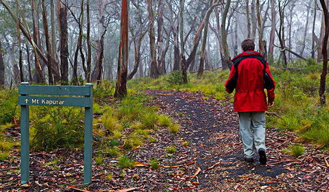 Mount Kaputar Summit Walk - Accommodation Newcastle 2