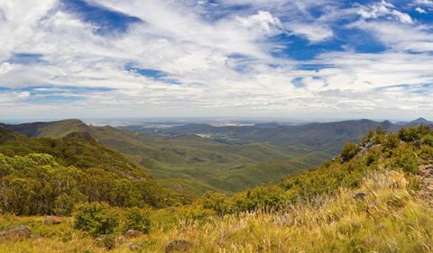 Mount Kaputar Summit Walk - Accommodation Newcastle 3