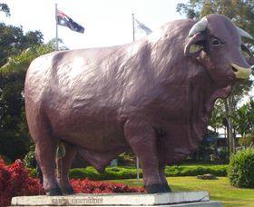 Rockhampton Bull Statues - Accommodation Newcastle 0