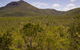 Kutini-Payamu (Iron Range) National Park (CYPAL) - thumb 0
