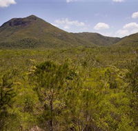 Kutini-Payamu Iron Range National Park CYPAL - Accommodation Newcastle