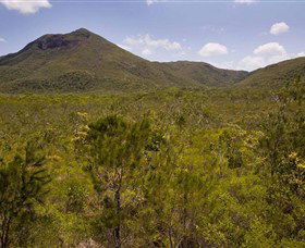 Kutini-Payamu (Iron Range) National Park (CYPAL) - Accommodation Newcastle 0