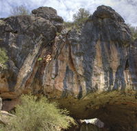 Borenore Karst Conservation Reserve - Accommodation Newcastle