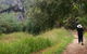 Borenore Karst Conservation Reserve - thumb 3