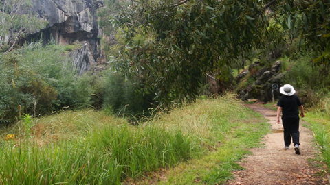Borenore Karst Conservation Reserve - Accommodation Newcastle 3