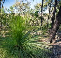 Brisbane Ranges National Park - Accommodation Newcastle