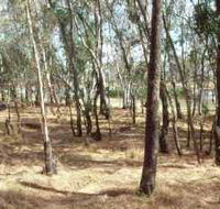 Chiltern-Mt Pilot National Park - Accommodation Newcastle