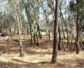 Chiltern-Mt Pilot National Park - Accommodation Newcastle 0
