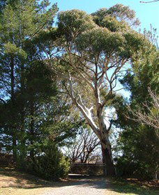 Habitat Vineyard - Accommodation Newcastle 1