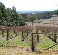 Habitat Vineyard - Accommodation Newcastle