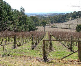 Habitat Vineyard - Accommodation Newcastle 0