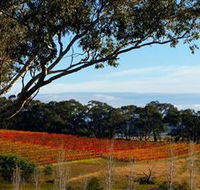 Bloodwood Estate - Accommodation Newcastle