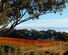 Bloodwood Estate - Accommodation Newcastle 0
