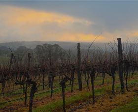 Bloodwood Estate - Accommodation Newcastle 1