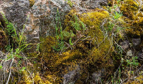 Hopetoun Falls Walking Track - Accommodation Newcastle 2