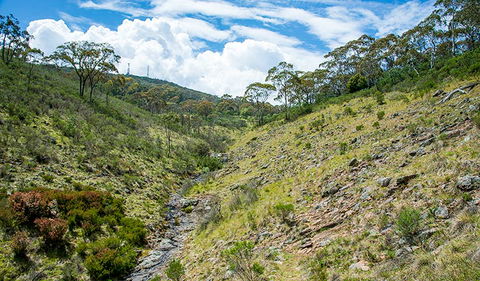 Hopetoun Falls Walking Track - Accommodation Newcastle 3