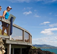 Mount Canobolas State Conservation Area - Accommodation Newcastle