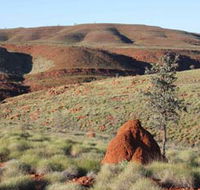 Camel Trail Millstream-Chichester National Park - Accommodation Newcastle