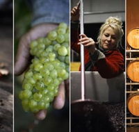 Ross Hill Wines - Accommodation Newcastle