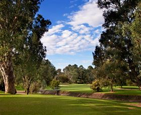 Commercial Golf Course - Accommodation Newcastle 0
