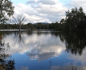 Wonga Wetlands - Accommodation Newcastle 1