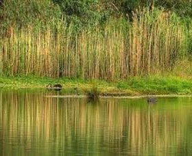 Wonga Wetlands - Accommodation Newcastle 2