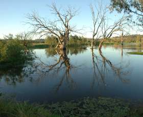 Wonga Wetlands - Accommodation Newcastle 4