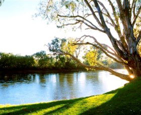 Albury - Murray River Precinct - Accommodation Newcastle 0