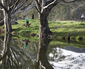 Albury - Murray River Precinct - Accommodation Newcastle 3
