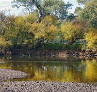 Mungabareena and Water Works - Accommodation Newcastle