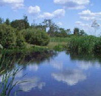 Yan Yean Reservoir Park - Accommodation Newcastle