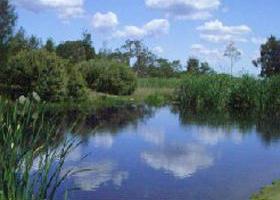 Yan Yean Reservoir Park - Accommodation Newcastle 0