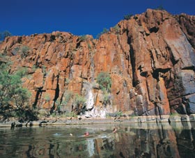 Python Pool - Accommodation Newcastle 1