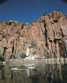 Python Pool - Accommodation Newcastle 3