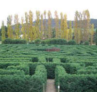 Brookfield Maze - Accommodation Newcastle