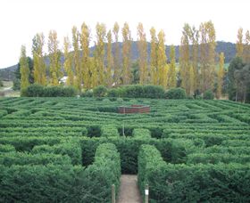 Brookfield Maze - Accommodation Newcastle 0