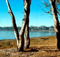 Lake Broadwater Conservation Park - Accommodation Newcastle