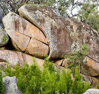 Frog Rock - Accommodation Newcastle