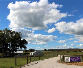 Short Sheep Micro-Winery - Accommodation Newcastle 8